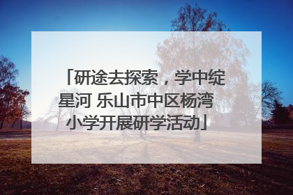 研途去探索，学中绽星河 乐山市中区杨湾小学开展研学活动